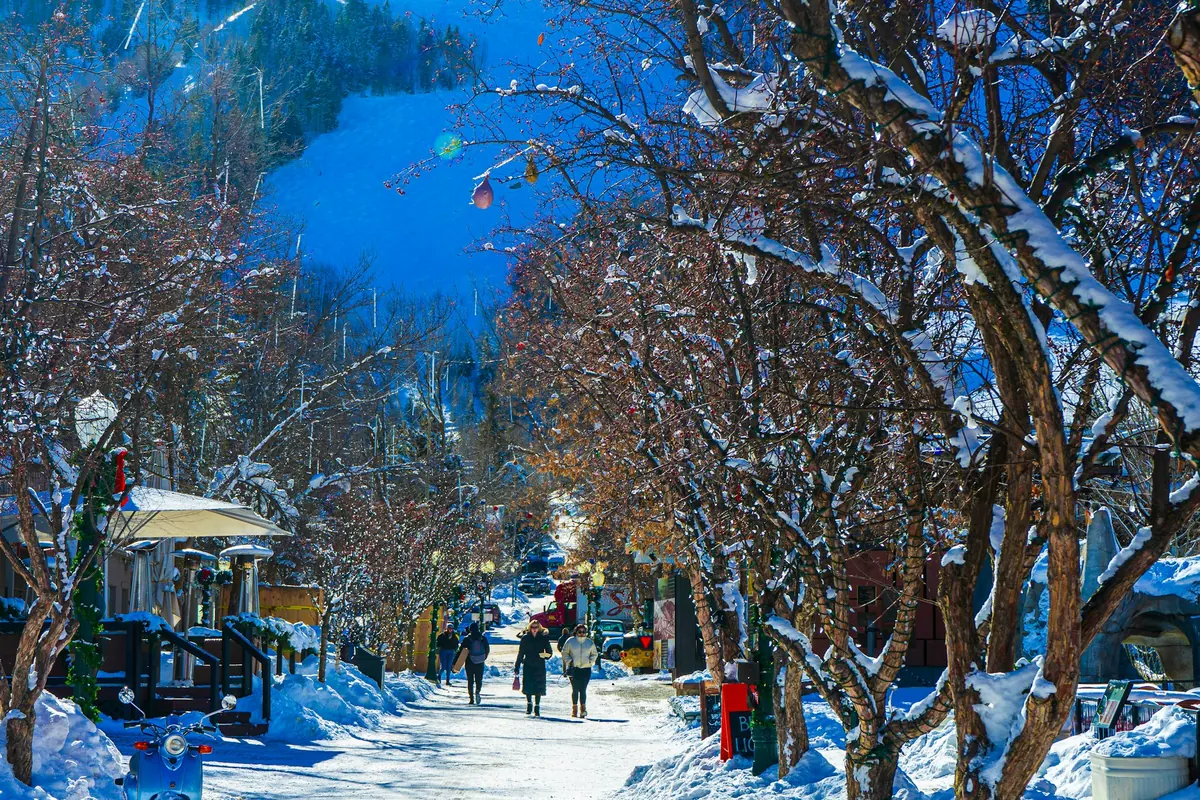 Snowy street with bare trees in Aspen